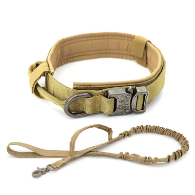 Collar For Dogs